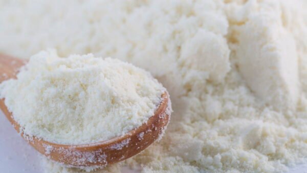 Wholesale Fat Filled Milk Powder