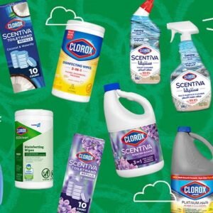 Wholesale Clorox Product